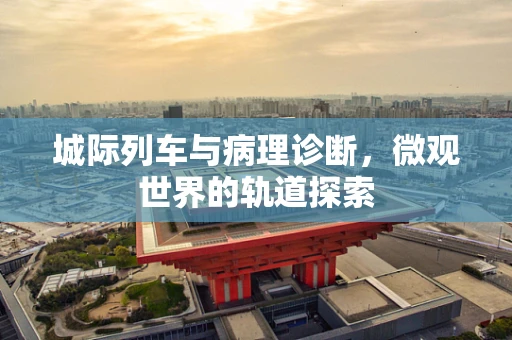 城际列车与病理诊断，微观世界的轨道探索