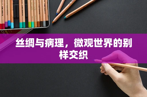 丝绸与病理，微观世界的别样交织