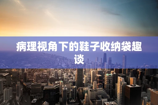 病理视角下的鞋子收纳袋趣谈
