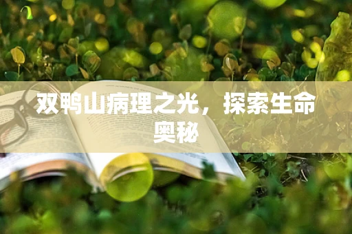 双鸭山病理之光，探索生命奥秘