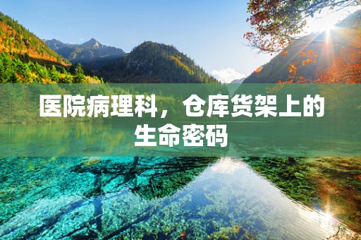 医院病理科，仓库货架上的生命密码