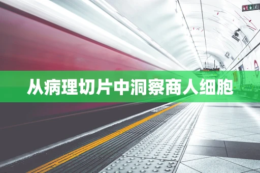 从病理切片中洞察商人细胞