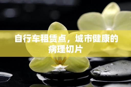 自行车租赁点，城市健康的病理切片