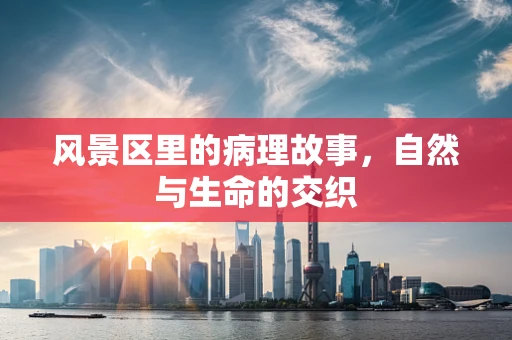 风景区里的病理故事，自然与生命的交织