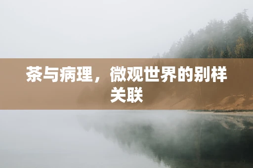 茶与病理，微观世界的别样关联