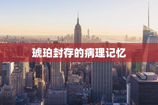 琥珀封存的病理记忆