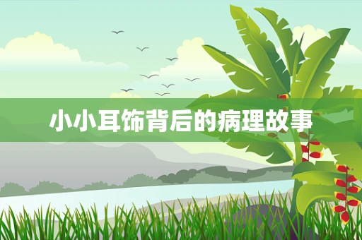 小小耳饰背后的病理故事
