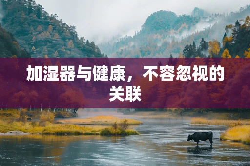 加湿器与健康，不容忽视的关联