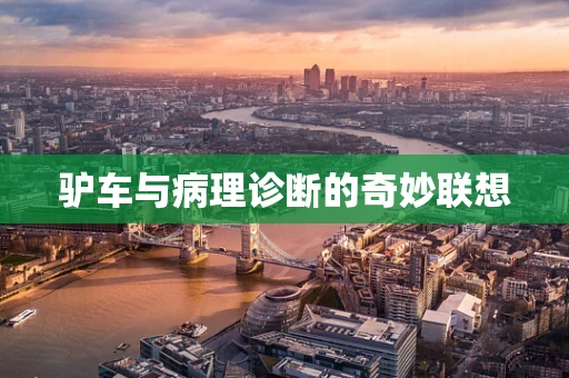 驴车与病理诊断的奇妙联想