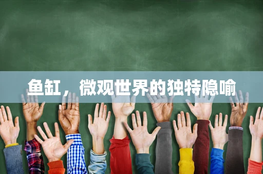 鱼缸，微观世界的独特隐喻