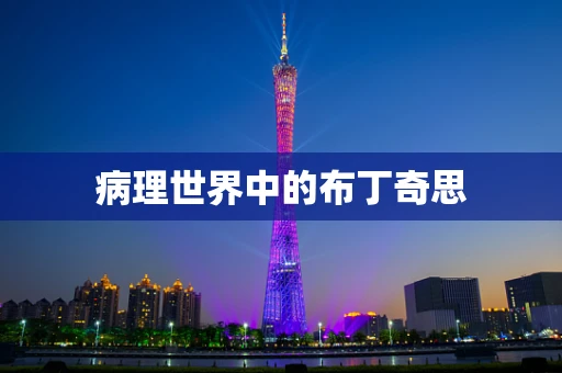 病理世界中的布丁奇思