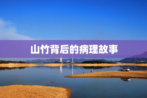 山竹背后的病理故事