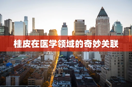 桂皮在医学领域的奇妙关联