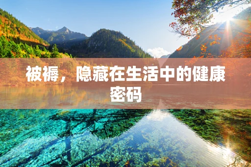 被褥，隐藏在生活中的健康密码