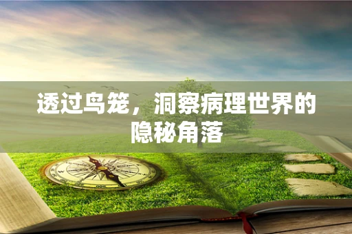 透过鸟笼，洞察病理世界的隐秘角落