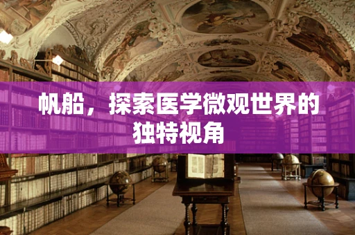 帆船，探索医学微观世界的独特视角