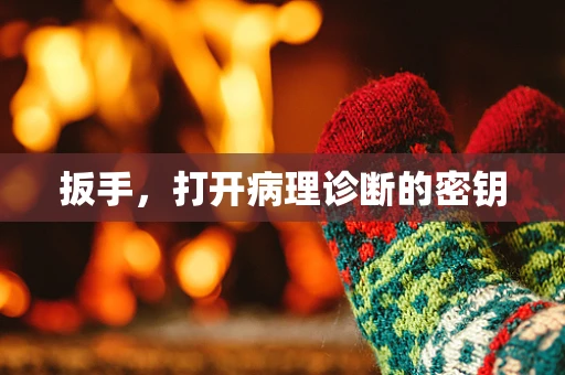 扳手，打开病理诊断的密钥