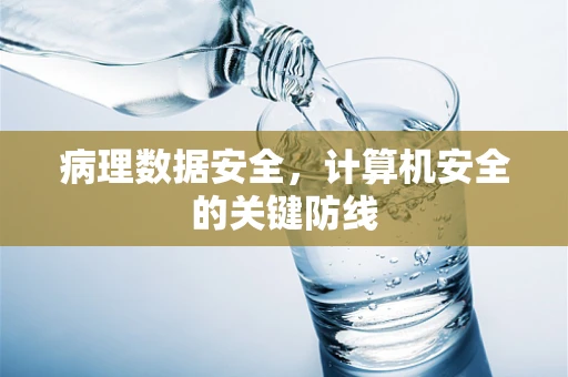 病理数据安全，计算机安全的关键防线