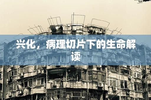 兴化，病理切片下的生命解读