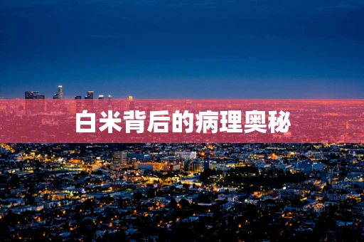 白米背后的病理奥秘