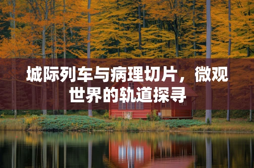 城际列车与病理切片，微观世界的轨道探寻