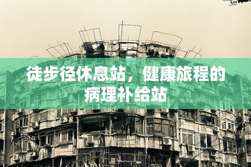 徒步径休息站，健康旅程的病理补给站