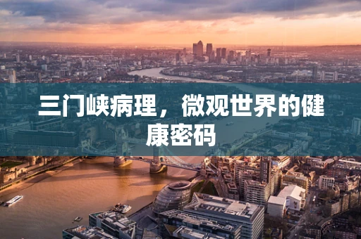 三门峡病理，微观世界的健康密码