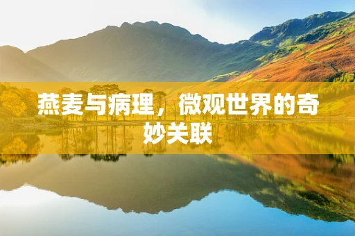 燕麦与病理，微观世界的奇妙关联