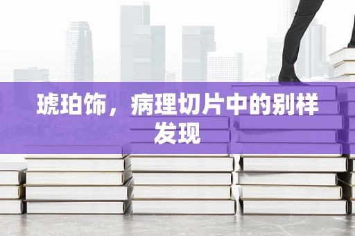 琥珀饰，病理切片中的别样发现