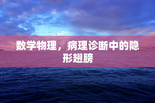 数学物理，病理诊断中的隐形翅膀
