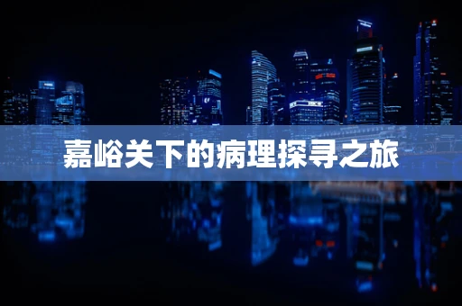 嘉峪关下的病理探寻之旅