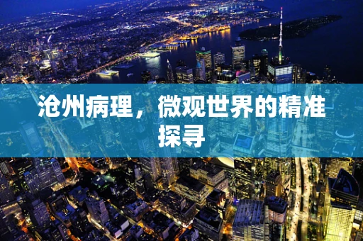 沧州病理，微观世界的精准探寻