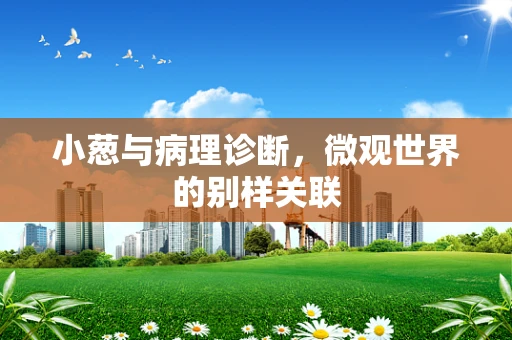 小葱与病理诊断，微观世界的别样关联