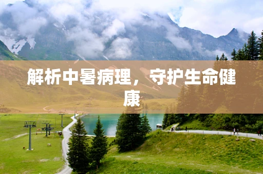 解析中暑病理，守护生命健康