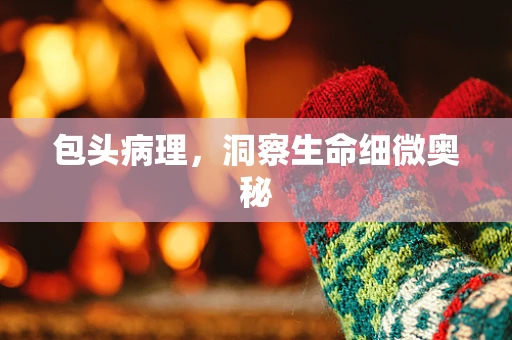 包头病理，洞察生命细微奥秘