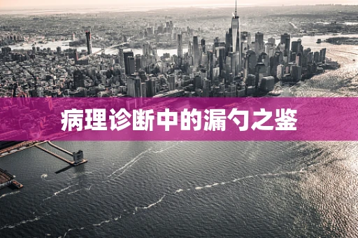 病理诊断中的漏勺之鉴