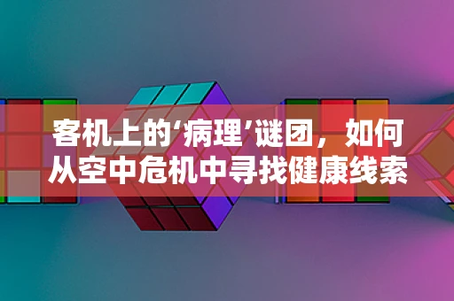 客机上的‘病理’谜团，如何从空中危机中寻找健康线索？