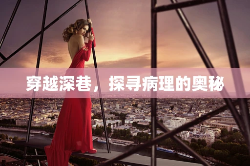 穿越深巷，探寻病理的奥秘