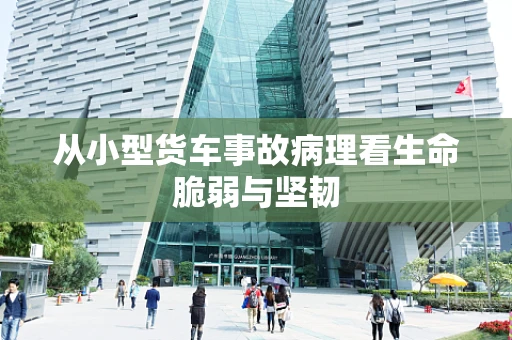 从小型货车事故病理看生命脆弱与坚韧