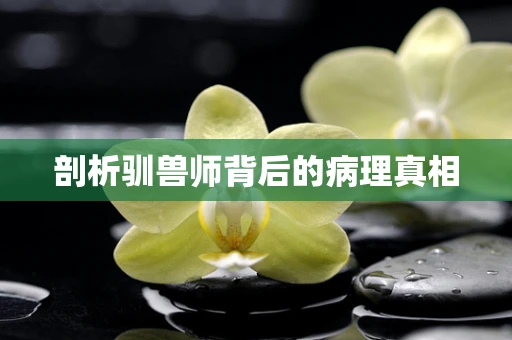 剖析驯兽师背后的病理真相