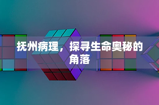 抚州病理，探寻生命奥秘的角落