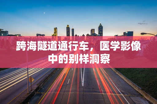 跨海隧道通行车，医学影像中的别样洞察