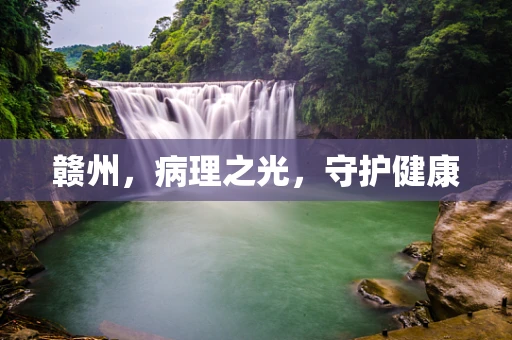 赣州，病理之光，守护健康