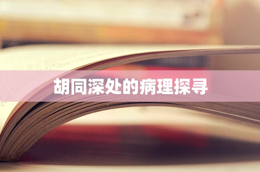 胡同深处的病理探寻