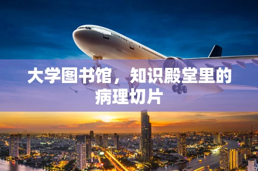 大学图书馆，知识殿堂里的病理切片