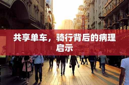 共享单车，骑行背后的病理启示