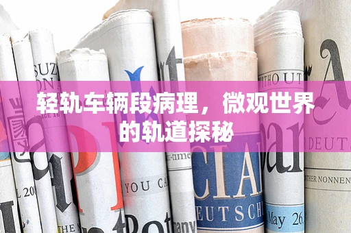 轻轨车辆段病理，微观世界的轨道探秘