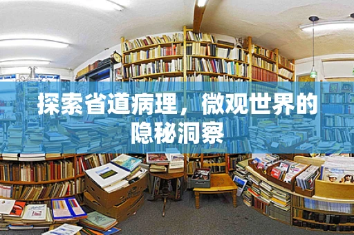 探索省道病理，微观世界的隐秘洞察