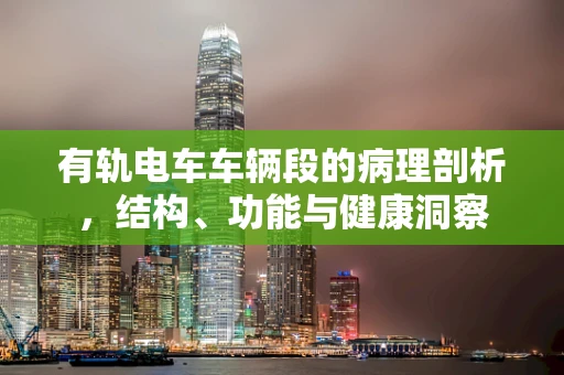 有轨电车车辆段的病理剖析，结构、功能与健康洞察