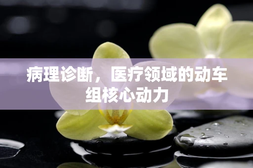 病理诊断，医疗领域的动车组核心动力